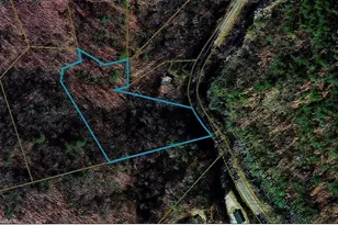 #27 N Old Nc Hwy 16, Millers Creek, NC 28651 - Photo 1