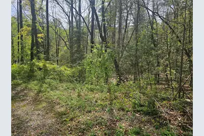 00 Spring Drive, North Wilkesboro, NC 28659 - Photo 1