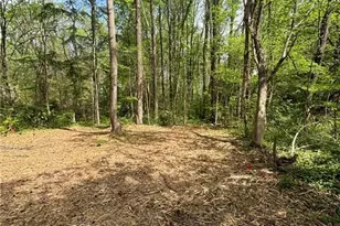 3808 Chicory Ln, Greensboro, NC 27405 - Photo 1