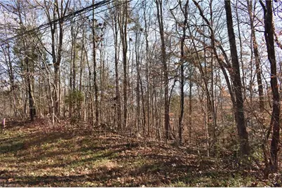 192 Young Drive #New Tract 1, Lexington, NC 27292 - Photo 1
