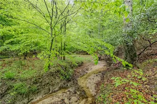 Tbd Splendor Ln, Mount Airy, NC 27030 - Photo 1