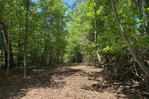 00 Broadview Dr, Pfafftown, NC 27040 - Photo 1