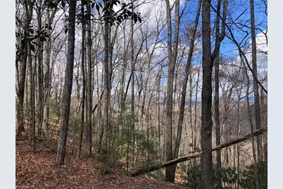Lot 21 Bobcat Mountain Road, Purlear, NC 28665 - Photo 1