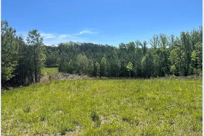 0 Palmer Road, Francisco, NC 27053 - Photo 1