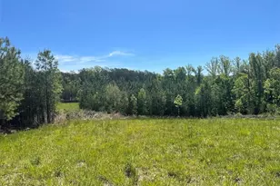 0 Palmer Rd, Francisco, NC 27053 - Photo 1