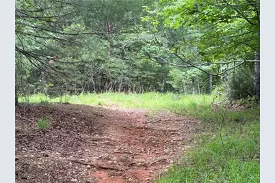 0 Old Lowgap Road, Lowgap, NC 27024 - Photo 1