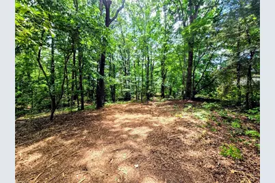 0 Idlewild Drive, Randleman, NC 27317 - Photo 1