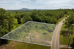 309 Ararat Longhill Rd, Pilot Mountain, NC 27041 - Photo 1