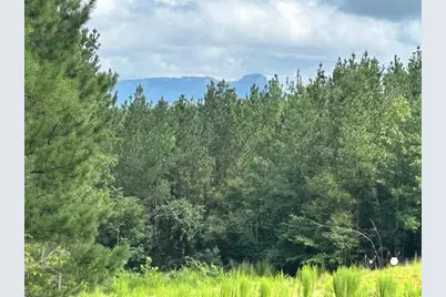 4429 Union Hill Road, East Bend, NC 27018 - Photo 1