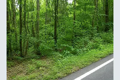 0 Sheppard Mill Road, Danbury, NC 27016 - Photo 1