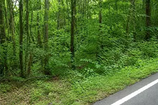 0 Sheppard Mill Rd, Danbury, NC 27016 - Photo 1