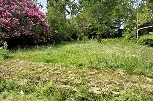 323 Pemberton St, Yanceyville, NC 27379 - Photo 1