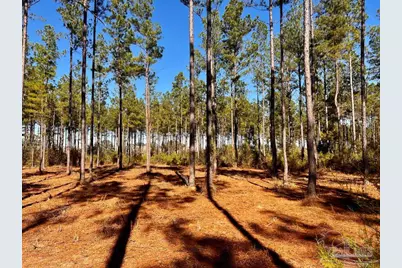 Lot 1 Denali Rd, Jay, FL 32565 - Photo 19