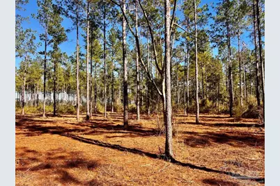 Lot 1 Denali Rd, Jay, FL 32565 - Photo 17