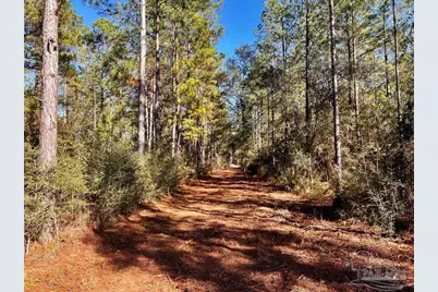 Lot 2 Denali Rd, Jay, FL 32565 - Photo 11