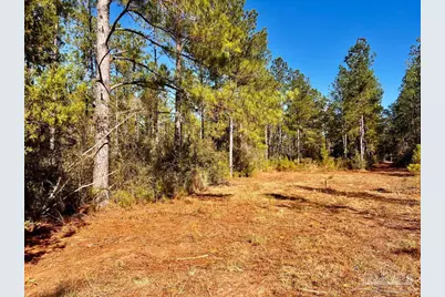 Lot 2 Denali Rd, Jay, FL 32565 - Photo 15