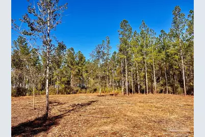 Lot 2 Denali Rd, Jay, FL 32565 - Photo 13