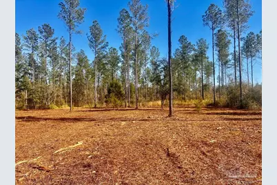 Lot 5 Denali Rd, Jay, FL 32565 - Photo 15