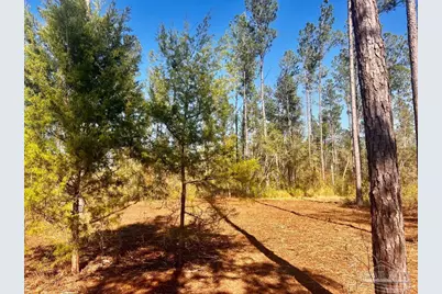 Lot 5 Denali Rd, Jay, FL 32565 - Photo 19