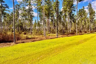 Lot 5 Denali Rd, Jay, FL 32565 - Photo 1