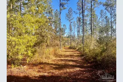 Lot 5 Denali Rd, Jay, FL 32565 - Photo 21