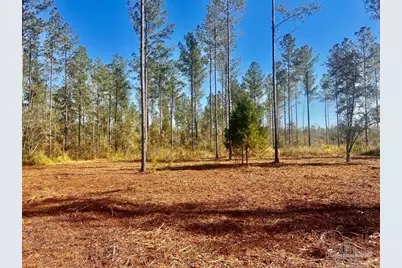 Lot 5 Denali Rd, Jay, FL 32565 - Photo 17