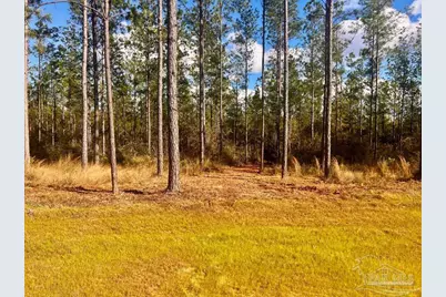 Lot 12 Denali Rd, Jay, FL 32565 - Photo 11