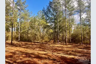 Lot 12 Denali Rd, Jay, FL 32565 - Photo 15