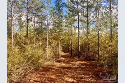 Lot 12 Denali Rd, Jay, FL 32565 - Photo 13