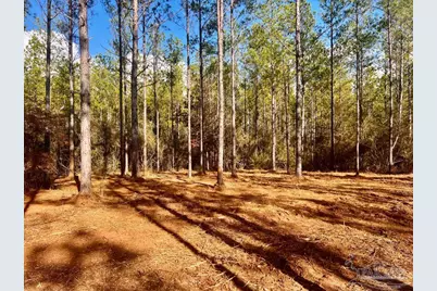 Lot 13 Denali Rd, Jay, FL 32565 - Photo 15