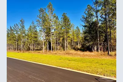 Lot 13 Denali Rd, Jay, FL 32565 - Photo 11
