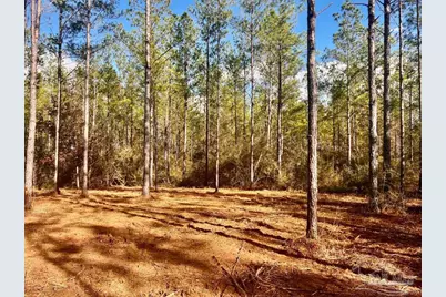 Lot 13 Denali Rd, Jay, FL 32565 - Photo 17