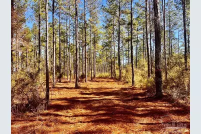 Lot 17 Denali Rd, Jay, FL 32565 - Photo 19