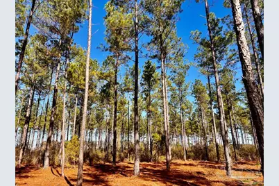 Lot 17 Denali Rd, Jay, FL 32565 - Photo 25