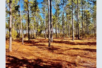 Lot 17 Denali Rd, Jay, FL 32565 - Photo 23