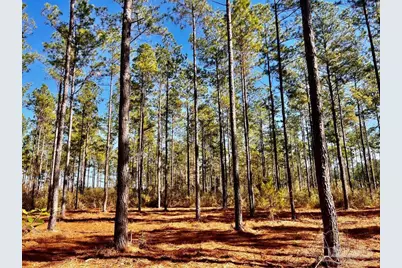 Lot 17 Denali Rd, Jay, FL 32565 - Photo 21