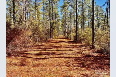 Lot 17 Denali Rd, Jay, FL 32565 - Photo 17