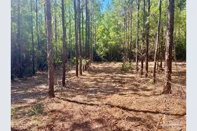 Lot 9 Creekdown Ln, Jay, FL 32565 - Photo 17