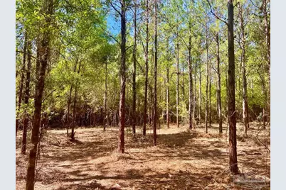 Lot 9 Creekdown Ln, Jay, FL 32565 - Photo 19