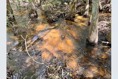 Lot 10 Naturewalk Dr, Jay, FL 32565 - Photo 9