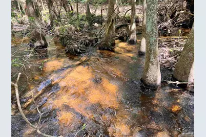 Lot 10 Naturewalk Dr, Jay, FL 32565 - Photo 3