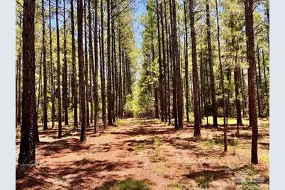 Lot 15 Naturewalk Dr, Jay, FL 32565 - Photo 15