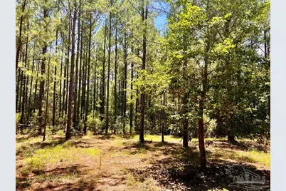 Lot 15 Naturewalk Dr, Jay, FL 32565 - Photo 21