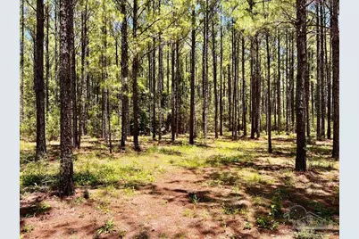 Lot 15 Naturewalk Dr, Jay, FL 32565 - Photo 19