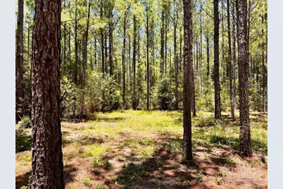 Lot 15 Naturewalk Dr, Jay, FL 32565 - Photo 17