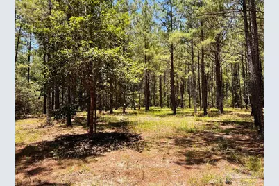 Lot 15 Naturewalk Dr, Jay, FL 32565 - Photo 13