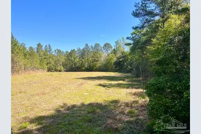 Lot 16 Naturewalk Dr, Jay, FL 32565 - Photo 9