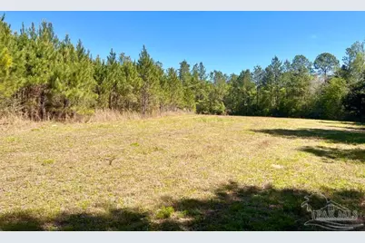 Lot 16 Naturewalk Dr, Jay, FL 32565 - Photo 7