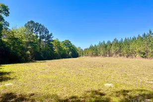 Lot 16 Naturewalk Dr, Jay, FL 32565 - Photo 1