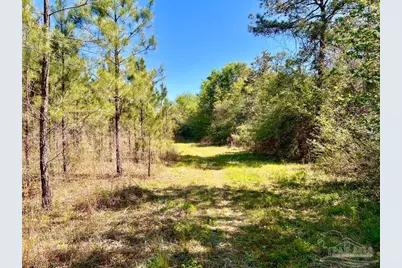 Lot 16 Naturewalk Dr, Jay, FL 32565 - Photo 15